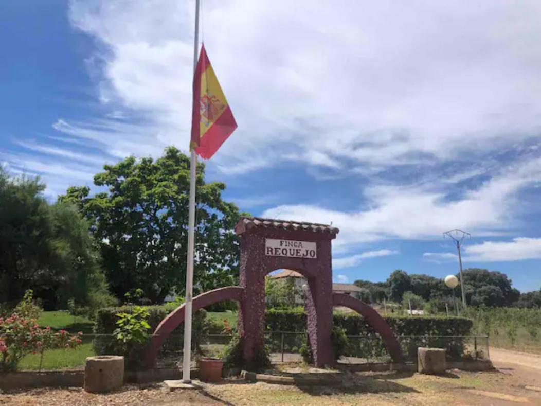 Casa Rural Finca Requejo Cerca De Benavente Tr 49426 Manganeses de la Polvorosa エクステリア 写真