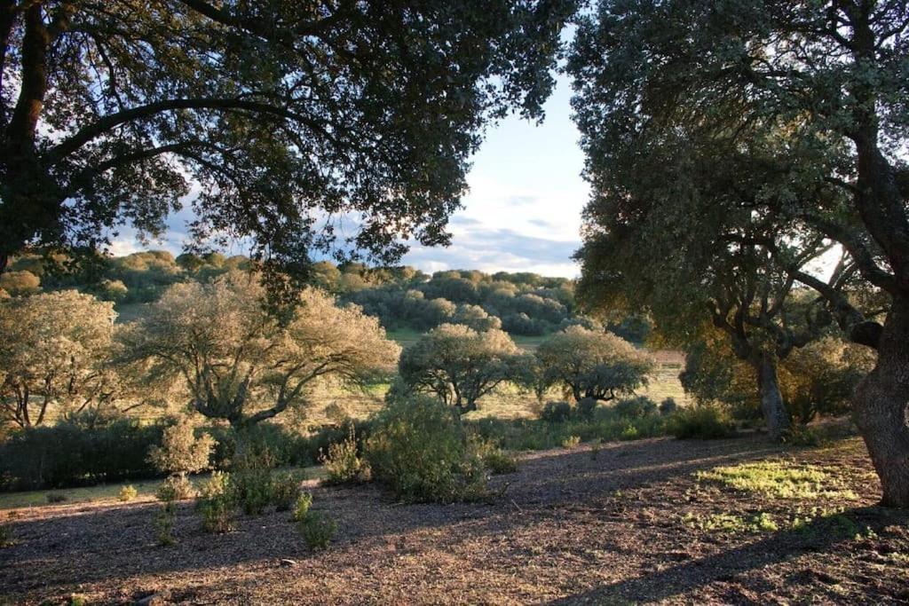 Casa Rural Finca Requejo Cerca De Benavente Tr 49426 Manganeses de la Polvorosa エクステリア 写真