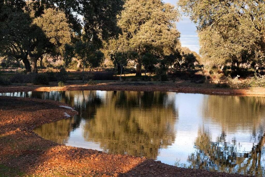 Casa Rural Finca Requejo Cerca De Benavente Tr 49426 Manganeses de la Polvorosa エクステリア 写真